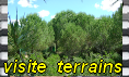 YOUTUBE 1111111
