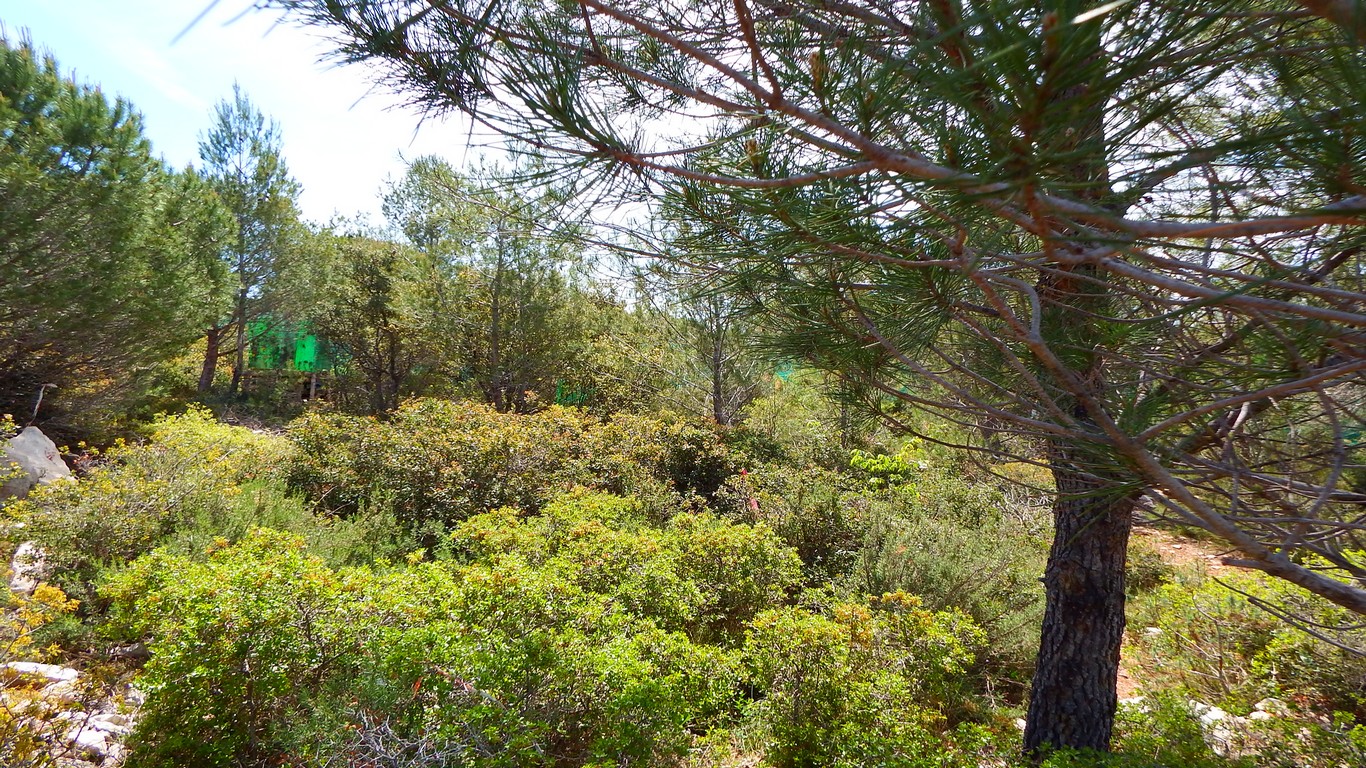 foret garrigue paintball montpellier teyran